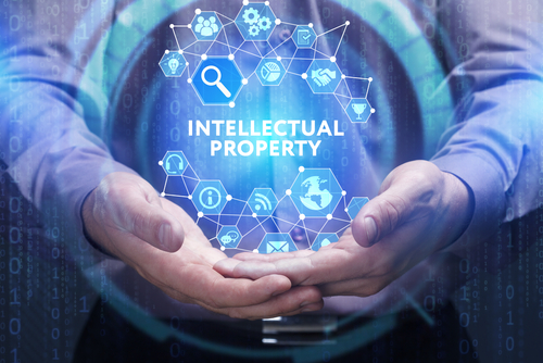 Who owns the intellectual property (IP) of your business?
