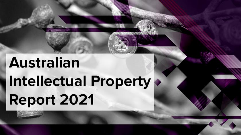The Australian Intellectual Property Report 2022 published by IP Australia