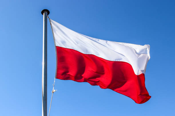 Infringement of intellectual property rights and remedies in Poland