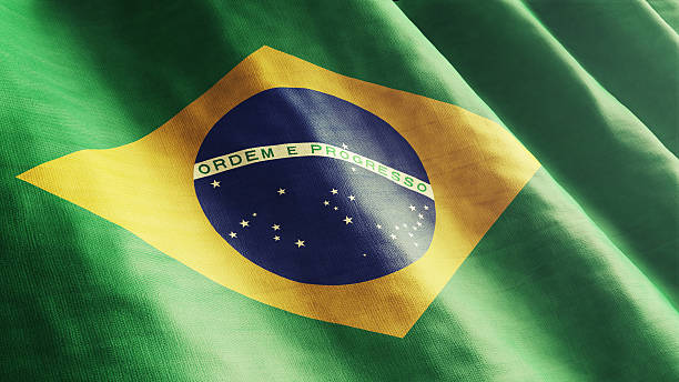 Industrial design registration procedure in Brazil