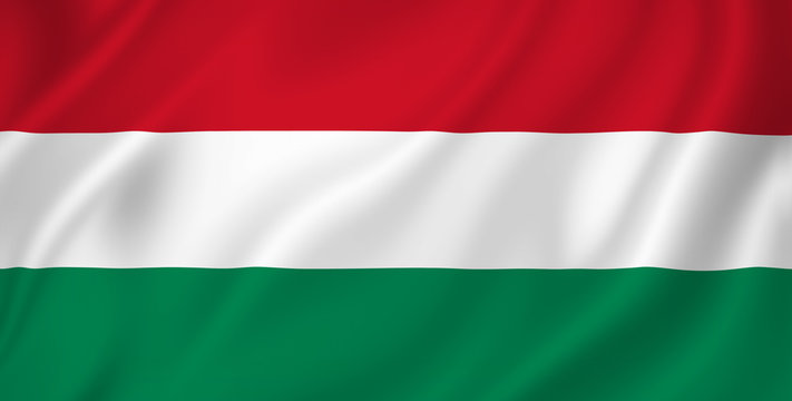 PCT National Phase Entry Process in Hungary